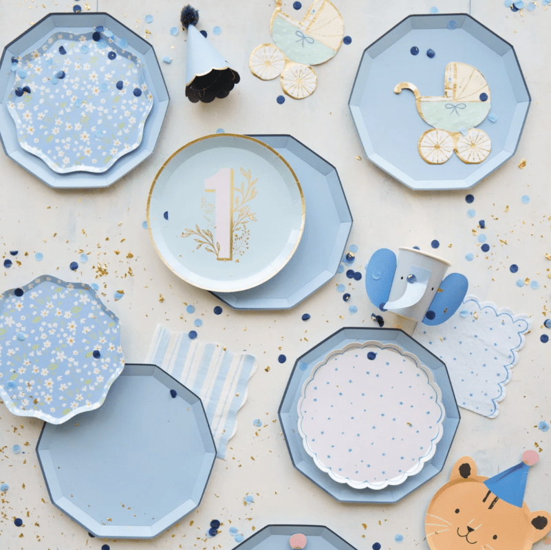 Bonjour Fete Party Sky Blue Dinner Plates