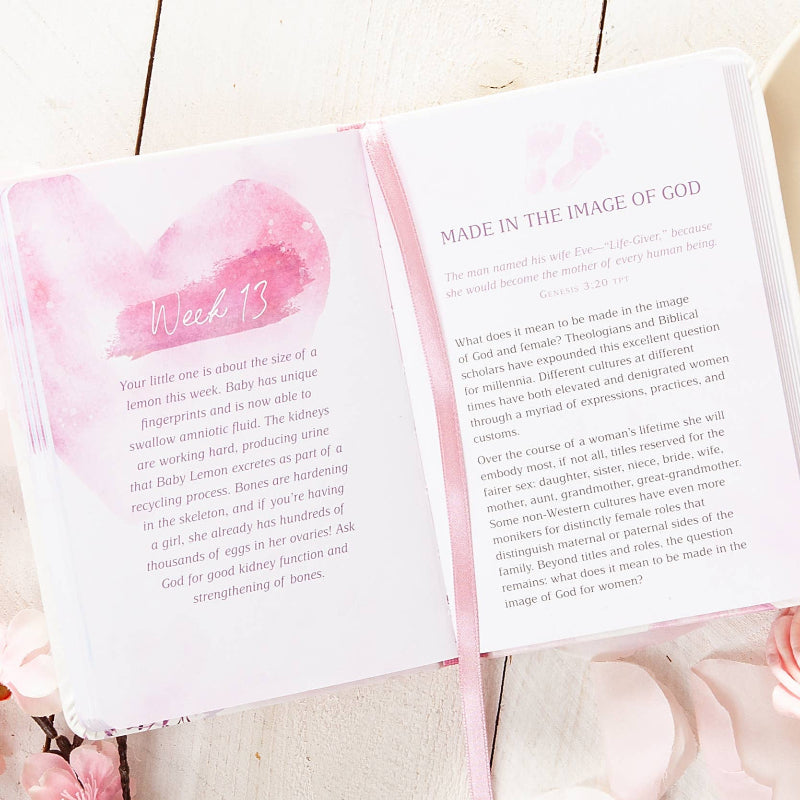 BroadStreet Publishing Group, LLC I Love You Already (Devotional for Expecting Mothers)