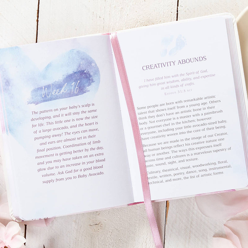 BroadStreet Publishing Group, LLC I Love You Already (Devotional for Expecting Mothers)