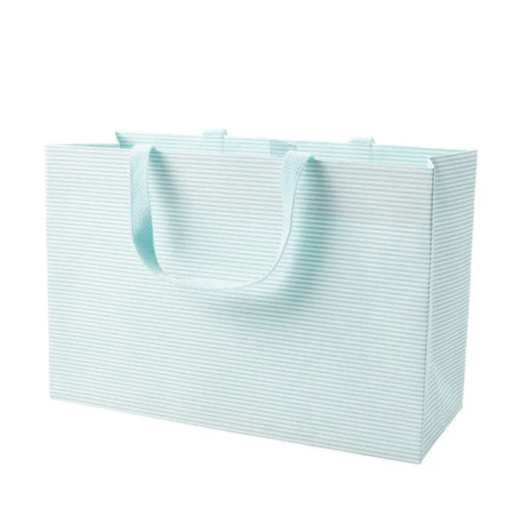 Caspari Robin's Egg Stripe Medium Gift Bag