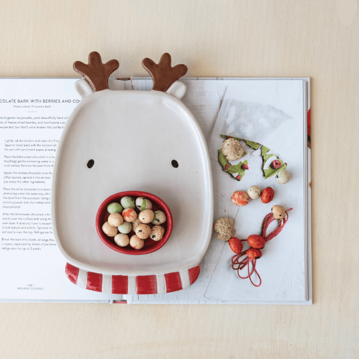 Creative Co-op Christmas Reindeer Stoneware Plate