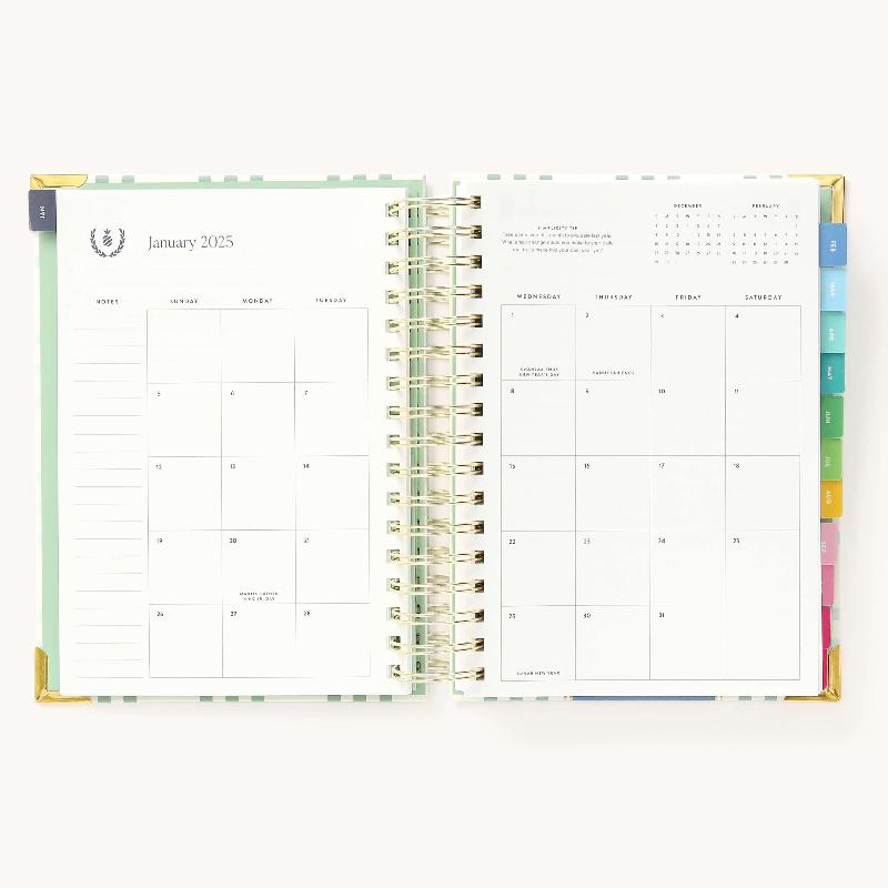 Simplified by Emily Ley 2025 Daily, Simplified Planner, Pistachio Plaid