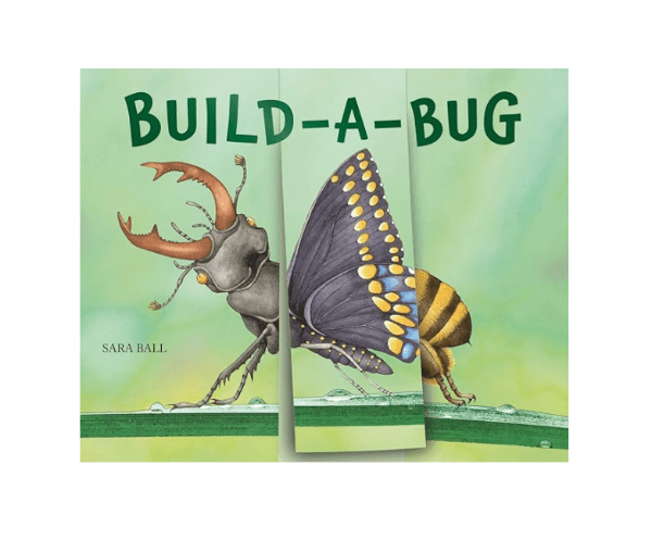 W.W. Norton Company Build-a-Bug: Make Your Own Wacky Insect!