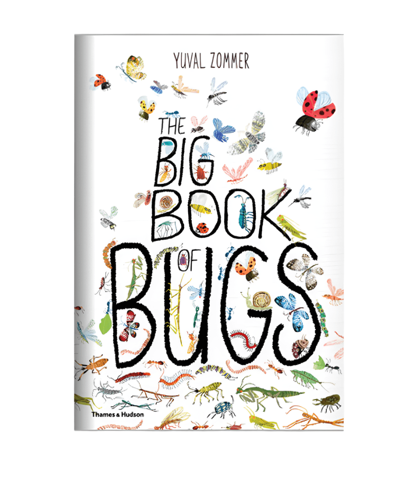 W.W. Norton Company The Big Book of Bugs