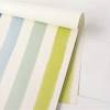 Sorbet Painted Stripe Placemats