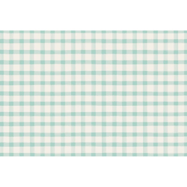 Hester & Cook Party Seafoam Painted Check Placemats