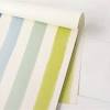 Hester & Cook Party Sorbet Painted Stripe Placemats