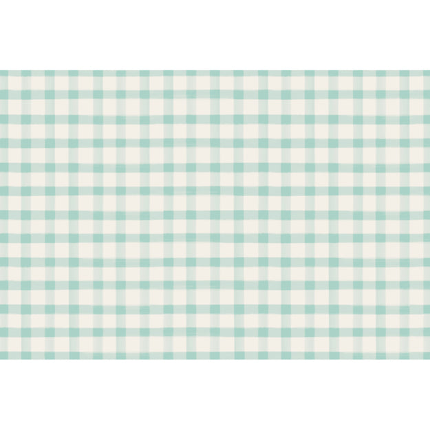 Seafoam Painted Check Placemats